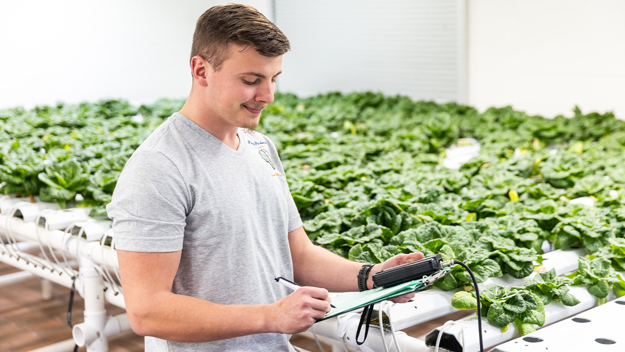 Using a film of water to provide essential nutrients, the system grows 100 pounds of lettuce per week, making the lab an integral part of the campus food ecosystem. 