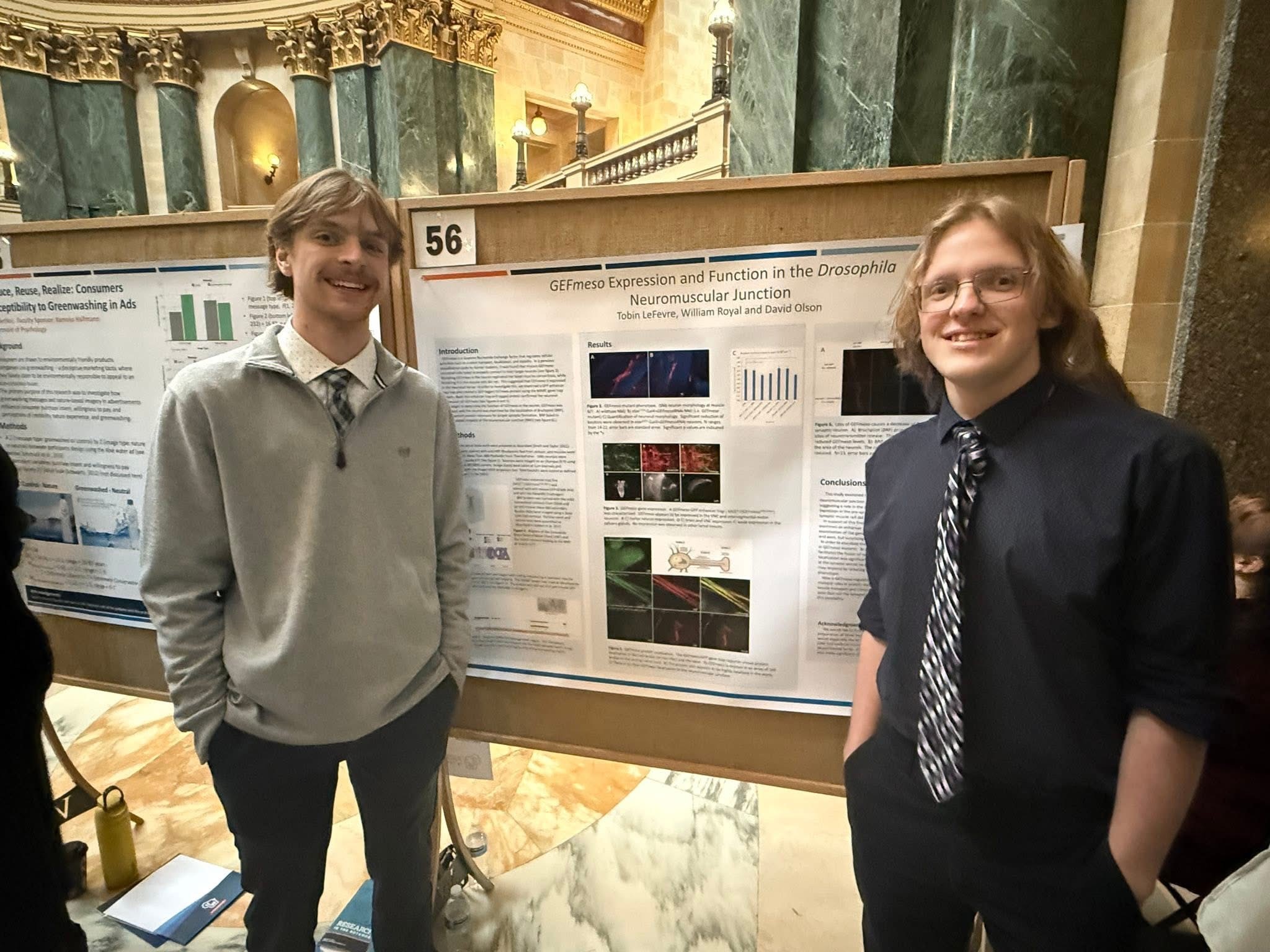 William Royal and Tobin LeFevre (Undeclared/Biology), mentored by David Olson GEFmeso Expression and Function in the Fruit Fly Neuromuscular Junction