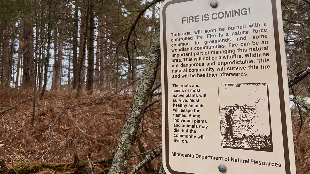A sign from the Minnesota Department of Natural Resources posted outside a forest preserve, warning about a controlled fire happening soon.