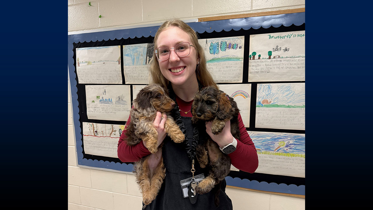 Student holding two small therapy puppies in an elementary school hallway