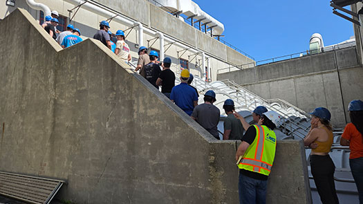 Group of individuals standing on a large cement staircase