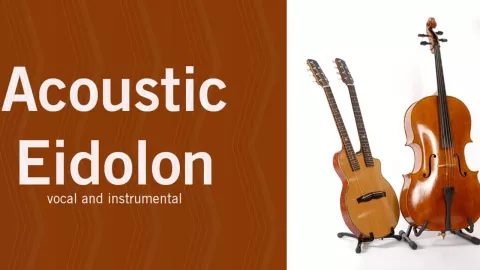 Acoustic Eidolon