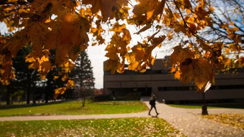 Fall campus