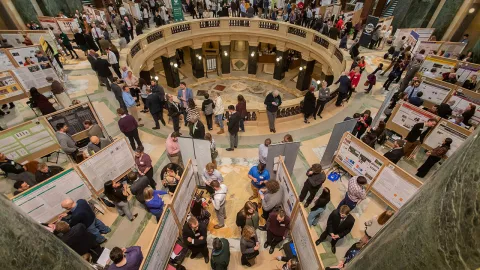 Research in the Rotunda