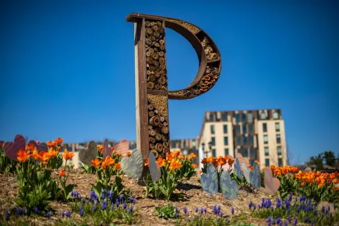 UW-Platteville