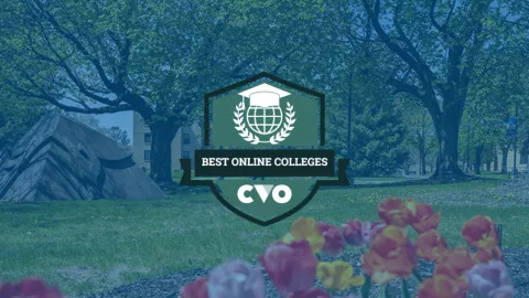 Best online university graphic