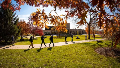 Fall Campus