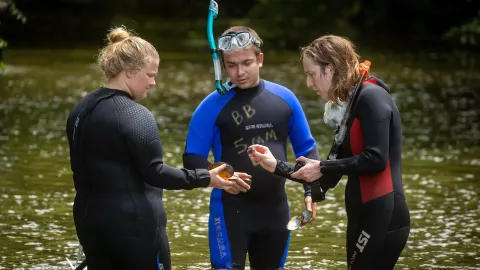 Mussel Research