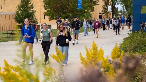 Campus in summer