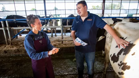 Olivia Adams conducts research with Dr. Ryan Pralle, assistant professor in the School of Agriculture.