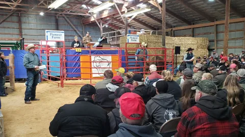 WBIA Bull Sale at UW-Platteville Pioneer Farm this Saturday