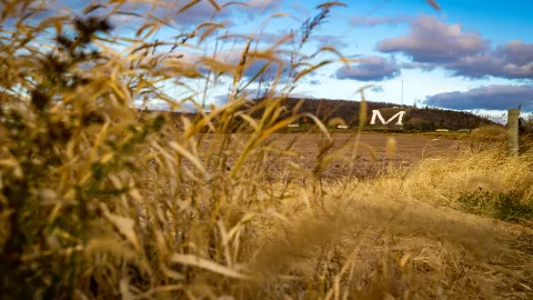“We are located in a rural area of southwest Wisconsin, surrounded by school districts that also identify as rural,” said Dr. Lindsay Hollingsworth. “We've leaned into the idea of teaching in rural spaces.”