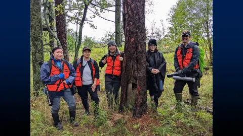 Authors Valerie Zhaawendaagozikwe, Ashla Ojibway, Mocha Reynolds, Emily Lockling and Evan Larson in the field on Minnesota Point, gathered around a culturally-modified old-growth red pine tree. 