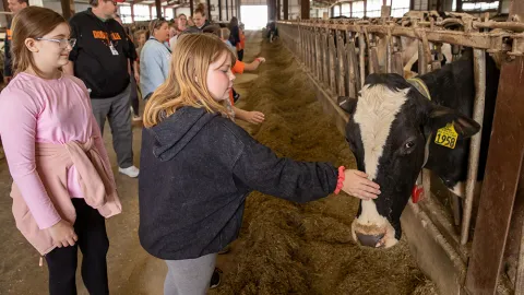 Families visit Pioneer Farm.