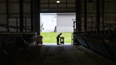 Person using a cart while working inside a barn, with a view of the outdoors through the barn entrance.