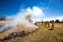 Prescribed fire presentation