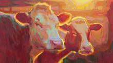 Cows Fire Lit—Kyle Martin 