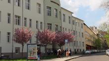 Street view of tan academic building with many windows, lined by trees with purple leaves