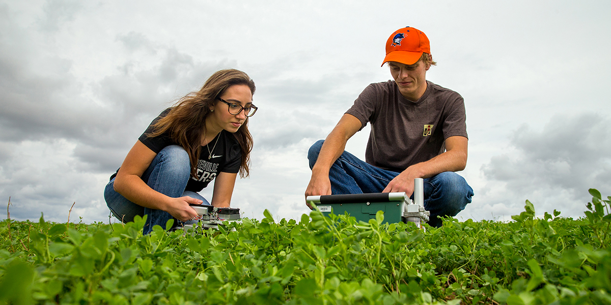 Agriculture courses and requirements picture