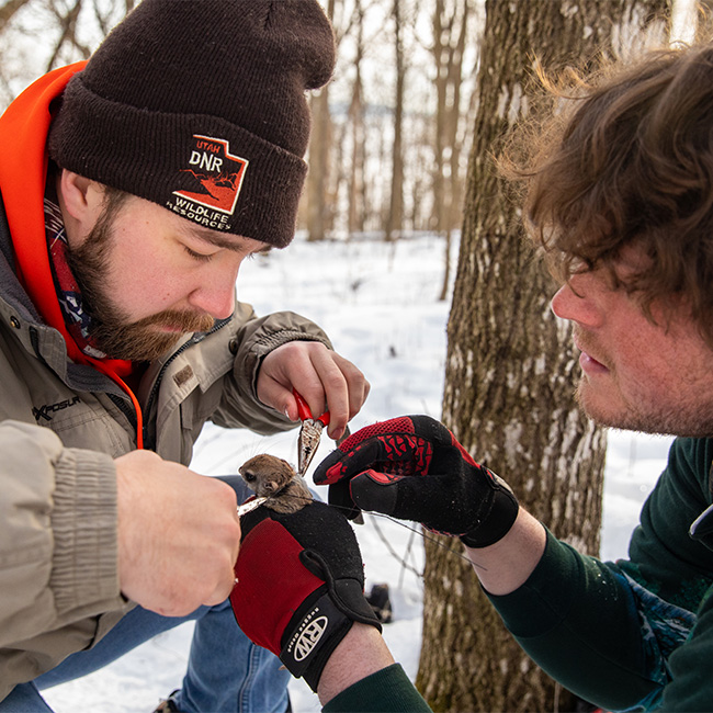 Undergraduate research