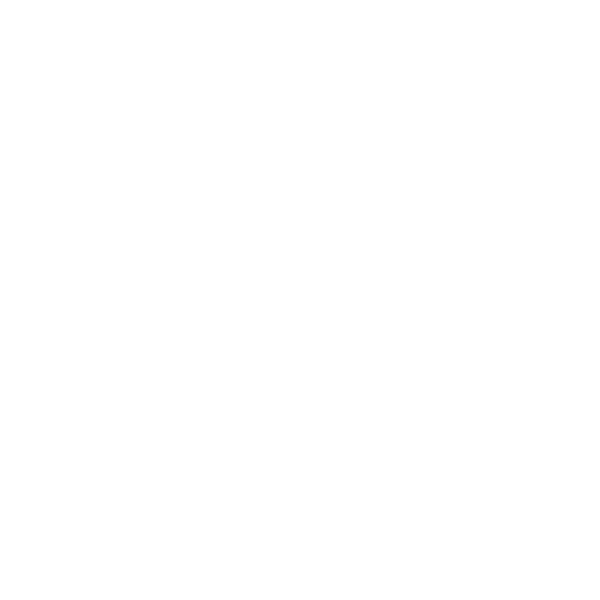 1st state in roi
