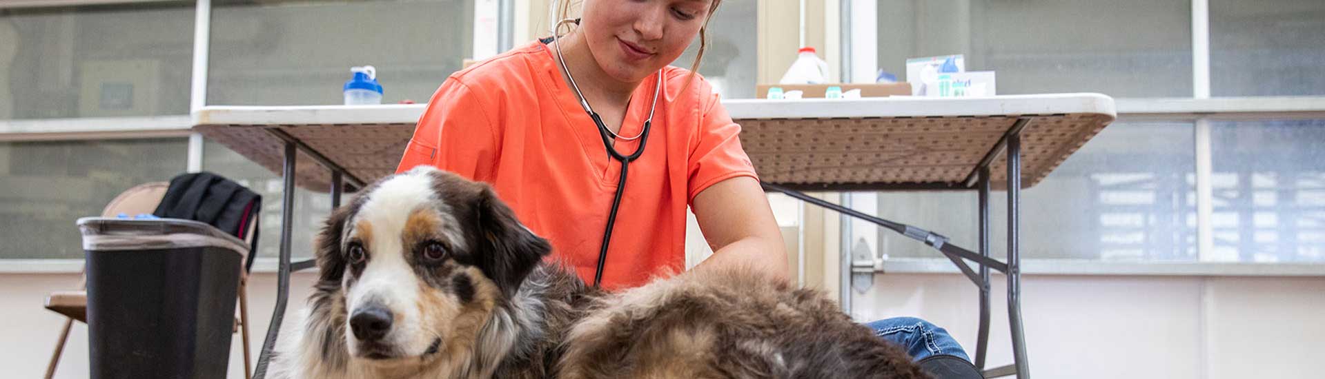 Pre-vet student with dog