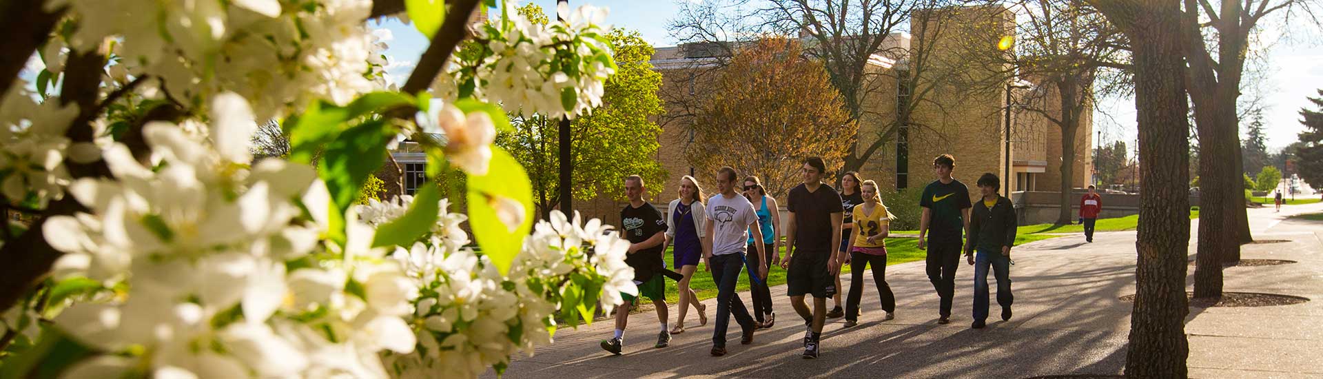 Spring campus students walking near Ottensman Hall