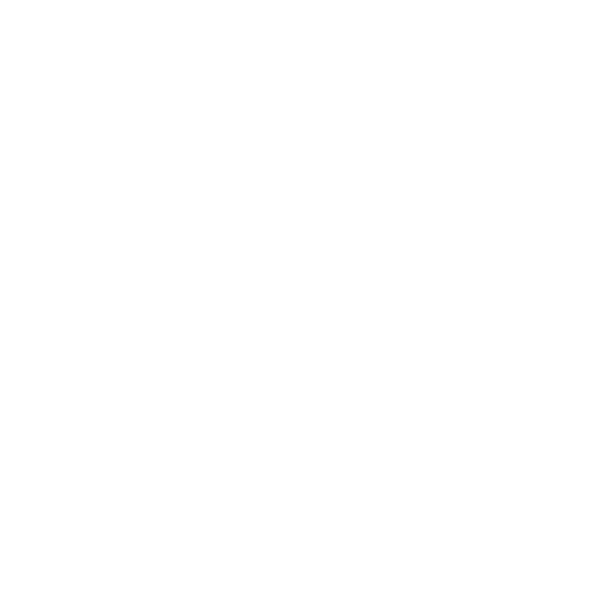 Washington Center Internship Program
