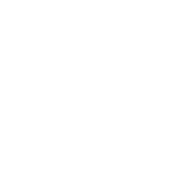 experiential learning