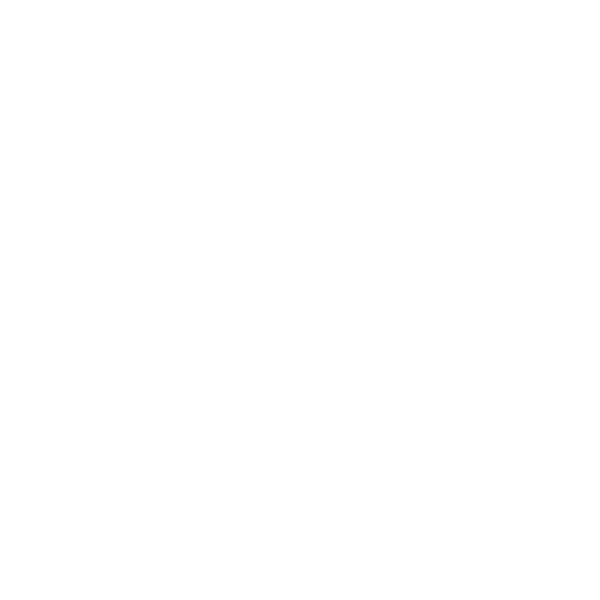 participate in an internship