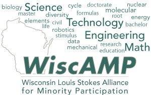 Wisconsin Alliance for Minority Participation logo