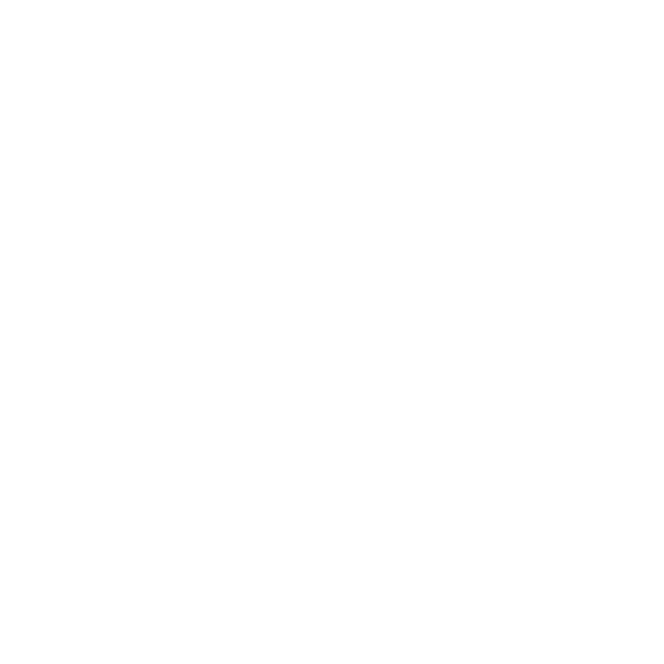 100% of graduates complete an internship