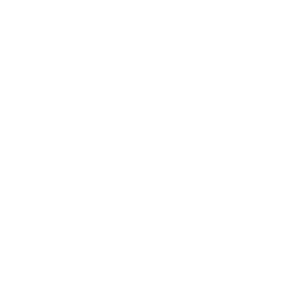 100% of classes taught by faculty, not teaching assistants