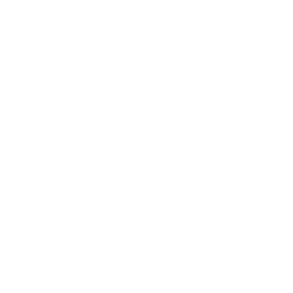 100% of graduates participate in an internship or undergraduate research