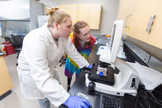 UW-Platteville students collaborate on research in the molecular lab.