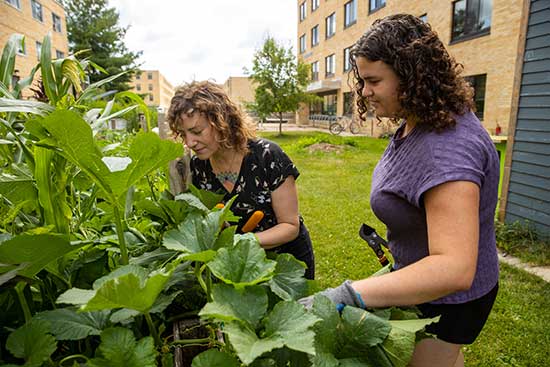 A UW-Platteville faculty and student work together to maintain campus green space.