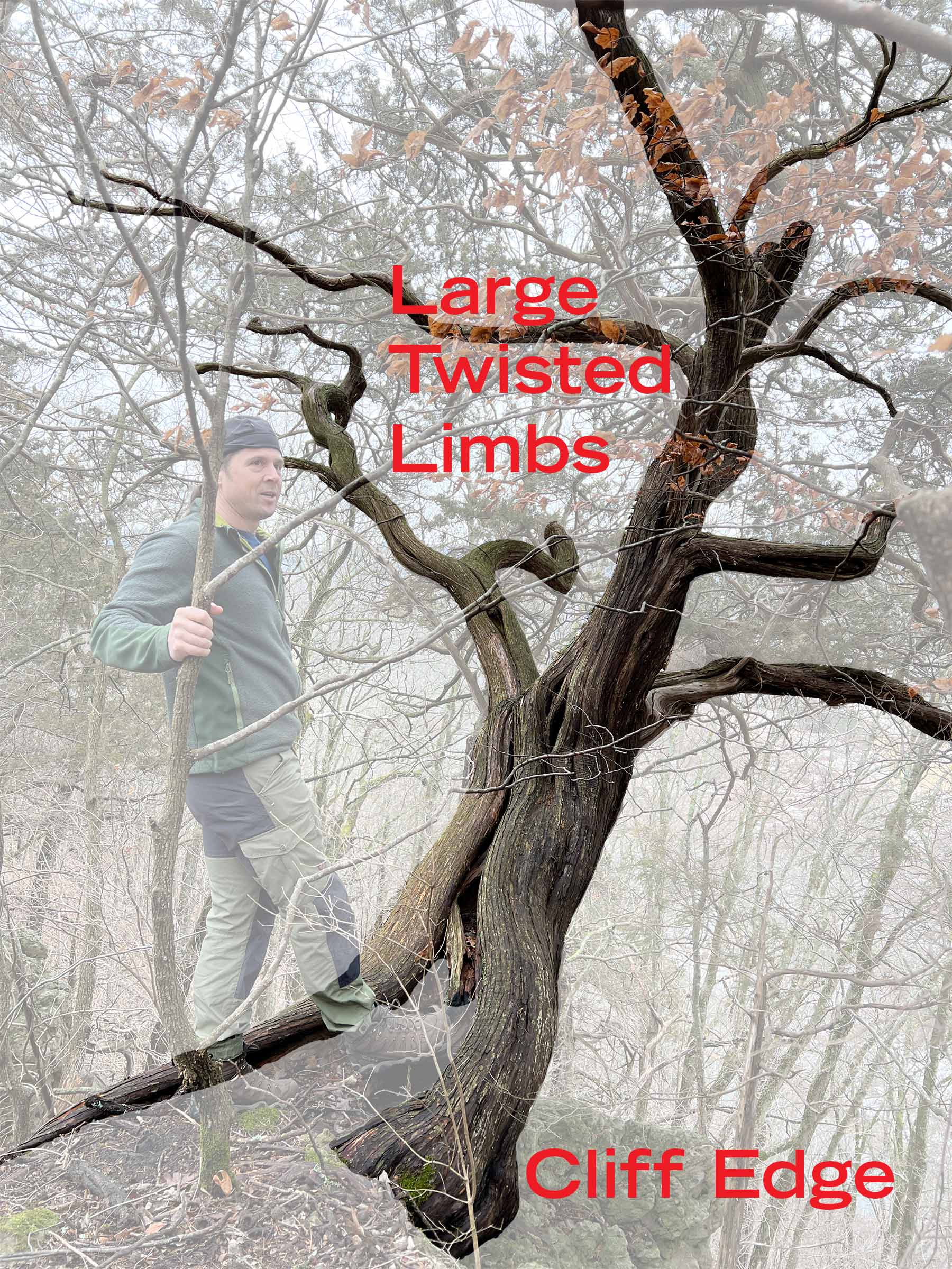 Large twisted limbs of redcedar along cliff edge.