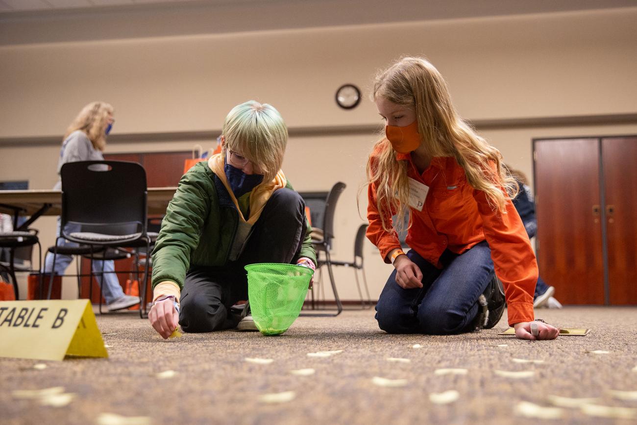 Session activity
