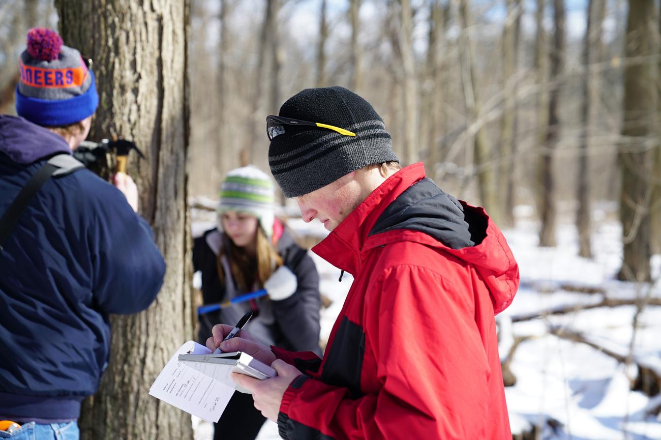 Student collecting tree core sample