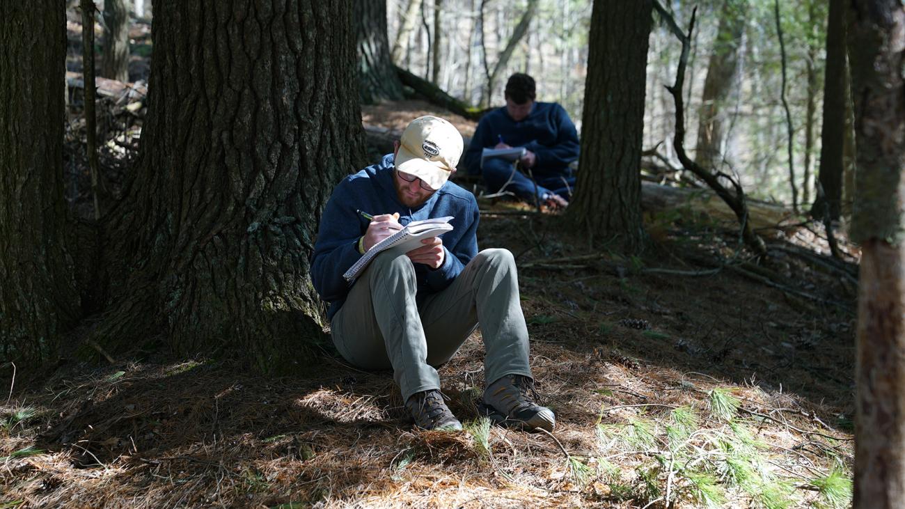 Student collecting tree core sample