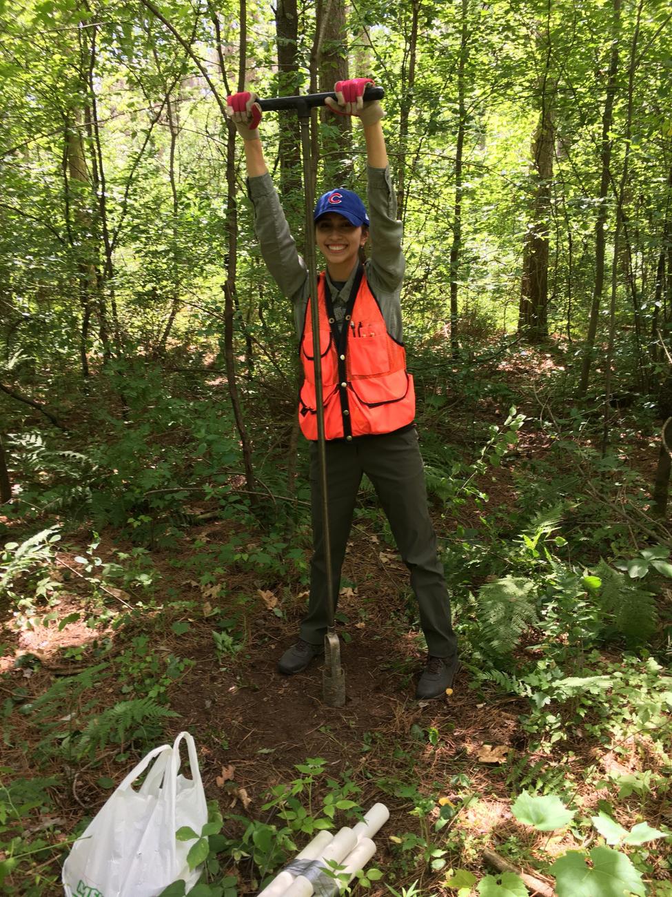 Student collecting tree core sample