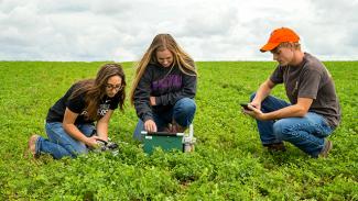 students working in a field