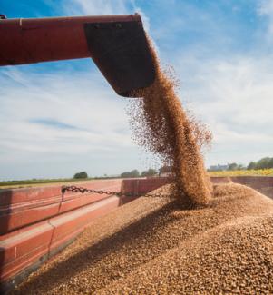 Sand being dumped into container