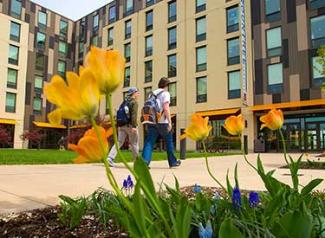 students walking on campus