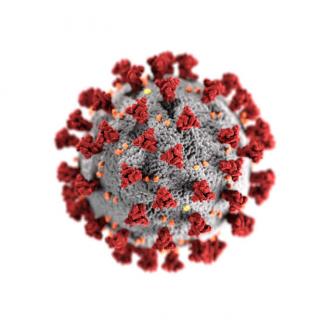 Coronavirus