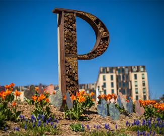 P sculpture, sutainability