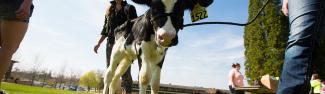 Food and Agriculture