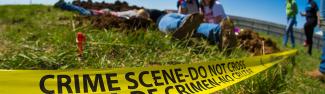 Criminal Justice