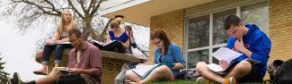 Students studying outside