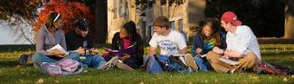 Students studying outside